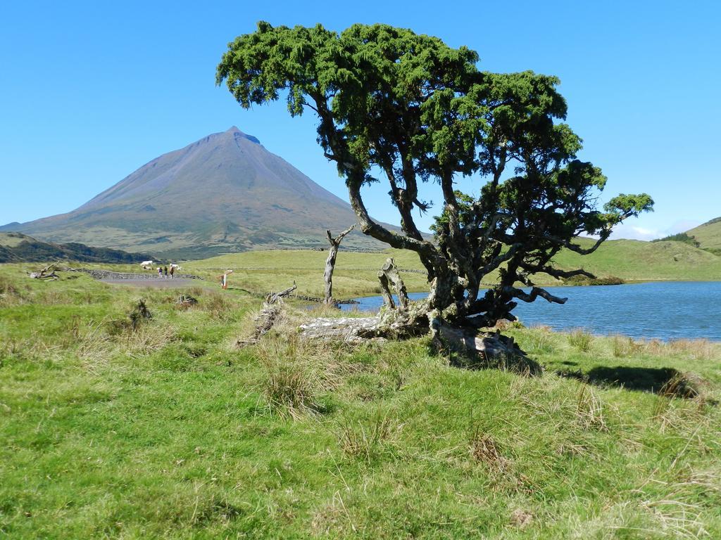 Adega Pedra do Lagar Calheta de Nesquim Exterior foto